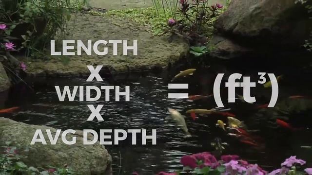 How to Calculate the Gallons of water in your pond смотреть онлайн