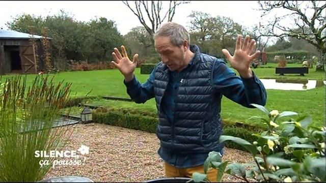 Comment planter le Camélia sinensis - Silence, ça pousse ! смотреть онлайн