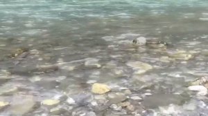 Новая христианская авторская песня "Укрой меня в ладонях Иисус"