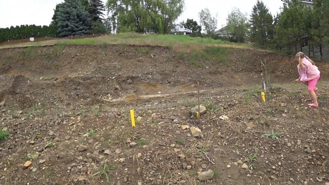 Закончили ремонт у Сони! Школа закончилась! За что у Коли двойка / Еще один участок под дом смотреть онлайн