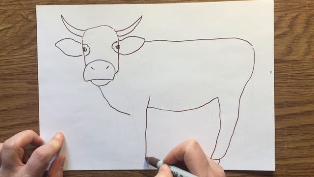 Как нарисовать корову. How to draw a cow смотреть онлайн