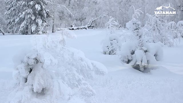 семибратка 3 минуты чистовик смотреть онлайн