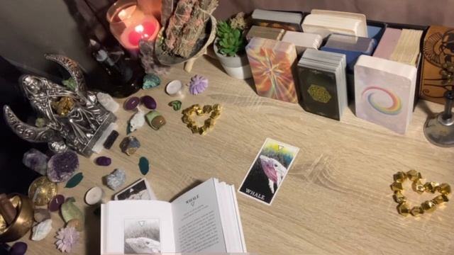 ✨Daily Advice From Spirit✨ Animal Spirit Oracle ?Wisdom of The Whale? смотреть онлайн