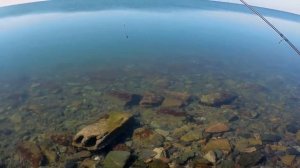 Потрясающая ловля пеленгаса на Азовском море.