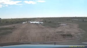 Ковыль цветет в Кулундинской степи