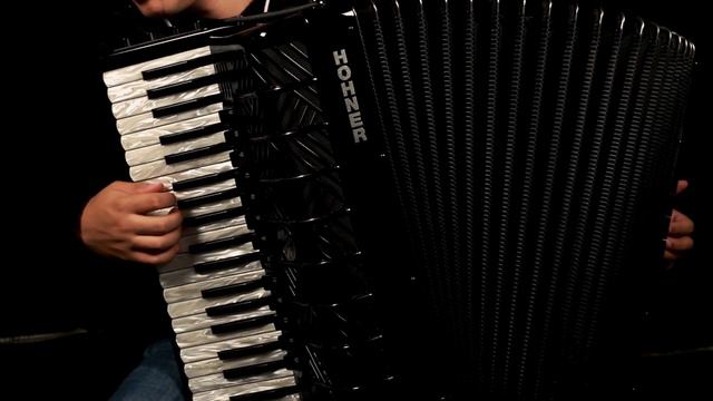 Herbstlaub - Winfried Funda | Accordion Cover by Stefan Bauer смотреть онлайн