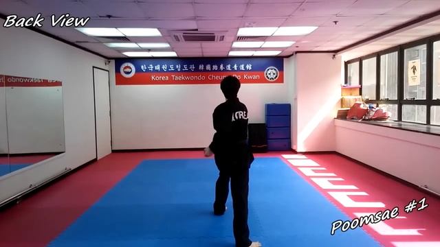 Taekwondo - Poomsae 1 (Il Jang) Slow-motion & Mirror смотреть онлайн