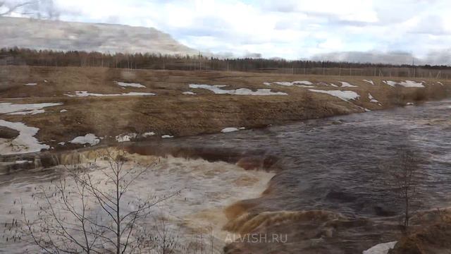 Велопрогулка Весеннее Саблино 11 апреля 2022 смотреть онлайн