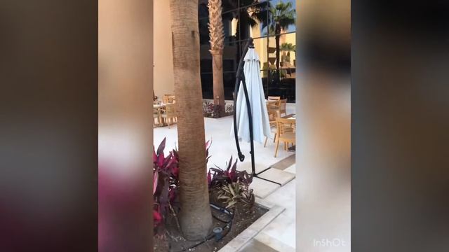 Coral Sea Aqua Club - Шарм эль Шейх