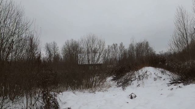 Прогулки по лесу | По дороге домой | домик | ольшаник | грузы. смотреть онлайн