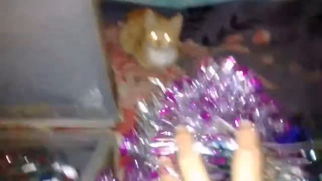 Вторые рамы на зиму смотреть онлайн