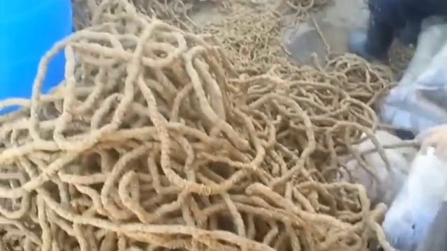 делаем экструдированный корм смотреть онлайн