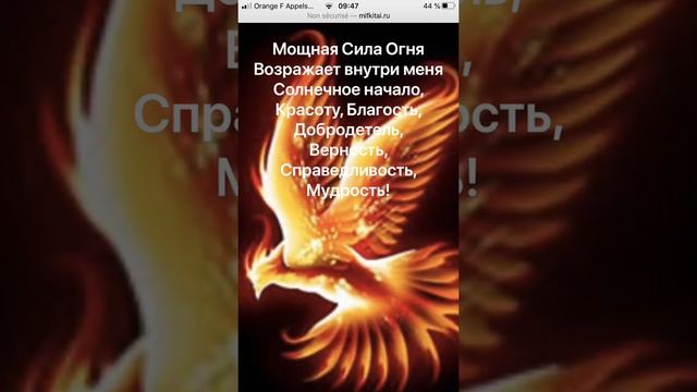 Méditation медитация перерождения Феникс смотреть онлайн