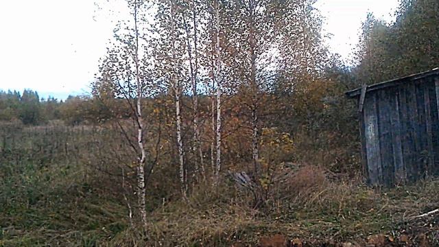 Продам участки под строительство в д. Староселье от 10 соток, для индивидуальной жилой застройки/ смотреть онлайн