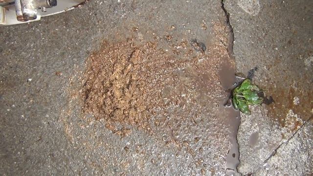 Что живет в бойлере через 12 или более лет смотреть онлайн