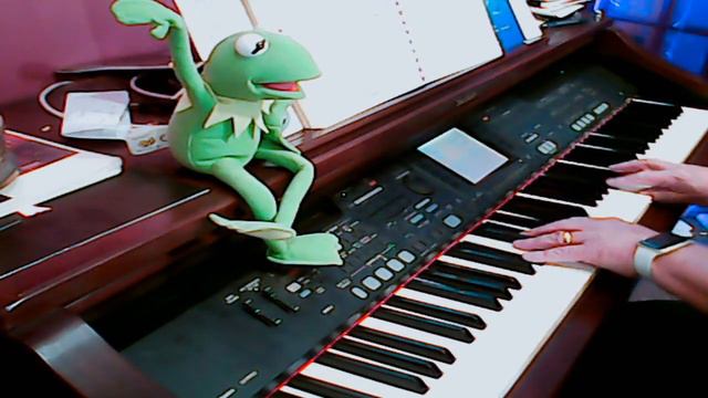 My Concert Stream For You All смотреть онлайн