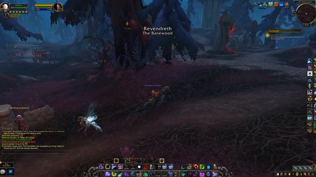 King of the Hill, WoW Shadowlands Quest смотреть онлайн