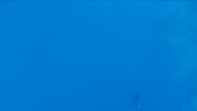 Dahab_Freedive_May 2011_720.avi смотреть онлайн