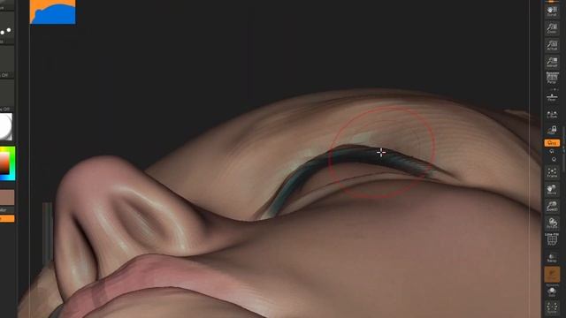 Anatomy sculpting in Zbrush - Neck Anatomy and Motion смотреть онлайн