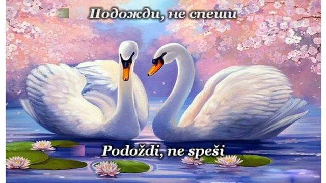 Димаш/Dimash - Любовь уставших лебедей/The love of tired swans - RU/Latin karaoke + ENG subs смотреть онлайн