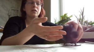 Птенец голубя, кормление зондом. Как накормить безмолочной злаковой кашей, если не ест сам.