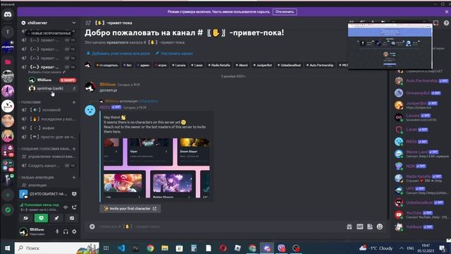 Настройка бота дискорд Auto Partnership