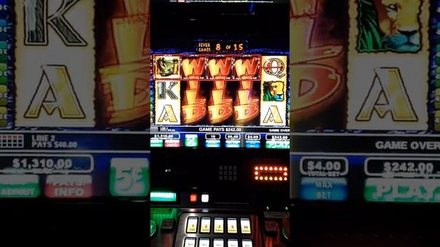 The Wild Life slot machine HUGE WIN BONUS!!! 3 LOCKED WILD REELS смотреть онлайн