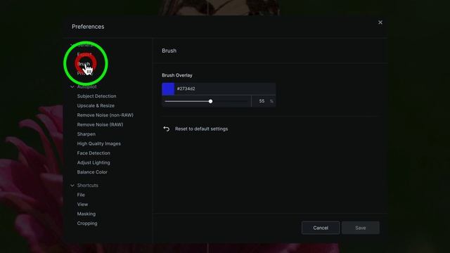 TOPAZ PHOTO AI (New Update Version 2.0.4) смотреть онлайн
