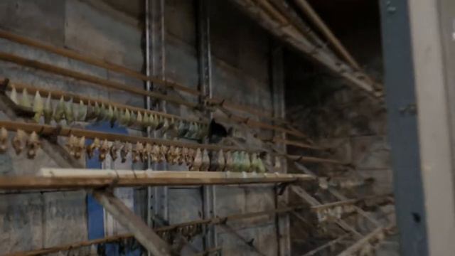 Тропический сад "Миндо" смотреть онлайн