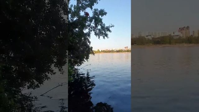 как поймать рыбу без удочки