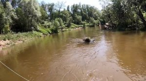 Рыбалка нахлыстом. Ловим голавлей и ельцов на мокрые мушки.