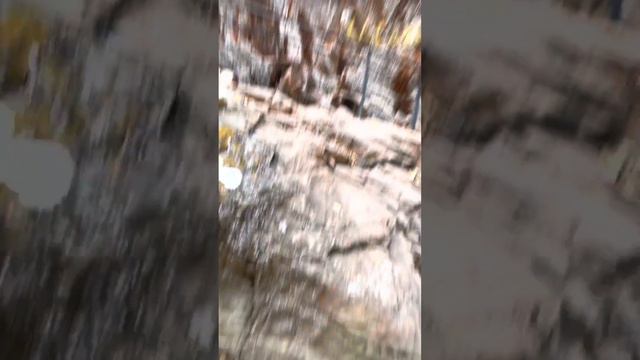 Медовые водопады смотреть онлайн