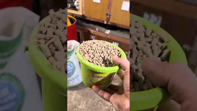 Корм для кроликов (свиной+кроличий)? смотреть онлайн