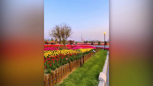 People Who Are At Another Level | Most Amazing Skills And Talent ! смотреть онлайн