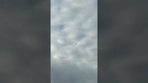 Перелёт лебедей