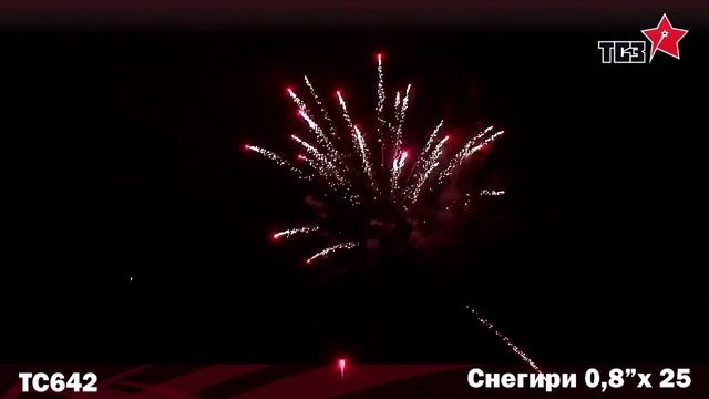 Салют Снегири 25 залпов смотреть онлайн