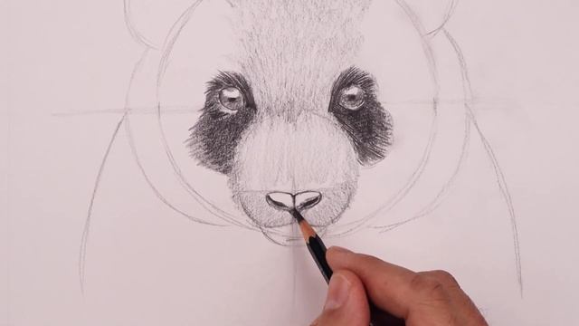 How To Draw a Panda | Sketch Tutorial смотреть онлайн