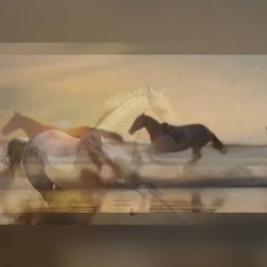 БОЮСЬ НЕ УСПЕТЬ - песня Сергея Маховикова