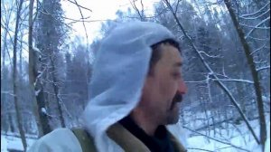 Охота на куницу с лайкой.