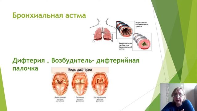 Заболевания дыхательной системы смотреть онлайн
