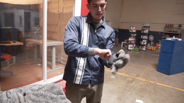 How to Make a Cat Video смотреть онлайн