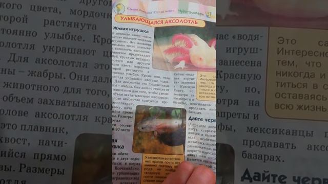 ЧЕМ МОЖНО ОТВЛЕЧЬ ДЕТЕЙ ОТ ГАДЖИТОВ смотреть онлайн