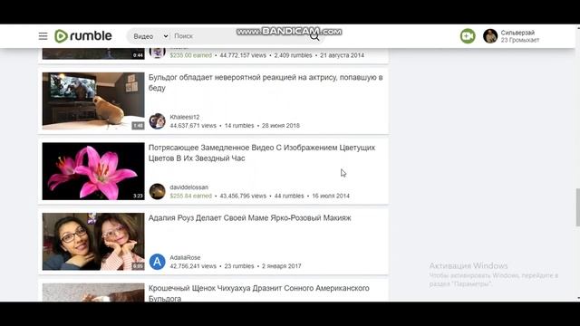 Мой личный опыт работы на площадке Rumble. Краткая инструкция.