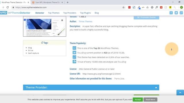 What Wordpress Theme Is This? смотреть онлайн