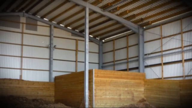 Сарай для домашних быков смотреть онлайн