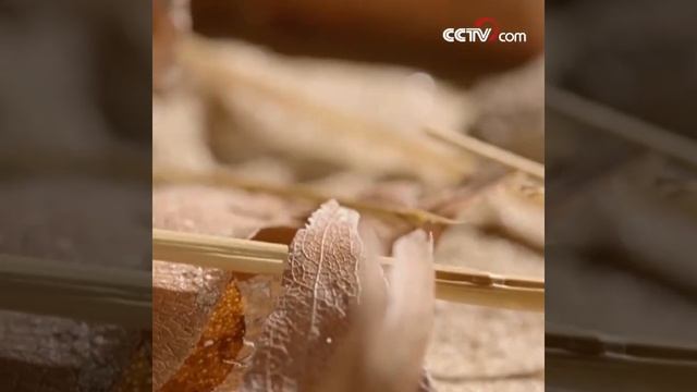 Богомолы – настоящие мастера маскировки в мире насекомых смотреть онлайн