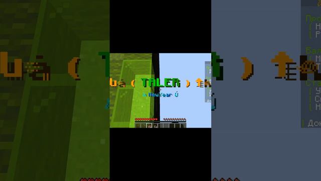 Провел лучший вайп на сервере майнкрафт анархия талер #minecraft #shortsminecraft смотреть онлайн