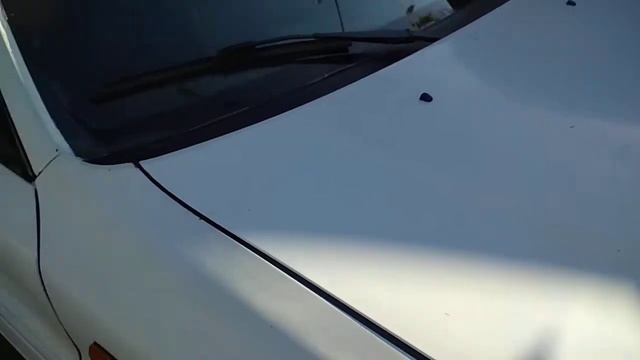 Рамка под авто номер деревянная смотреть онлайн