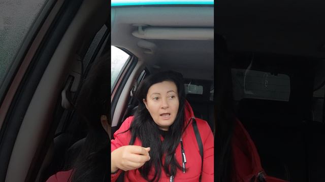 Ум и Разум смотреть онлайн