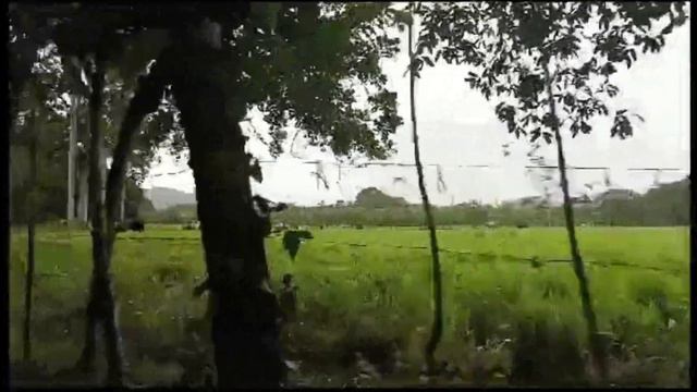 Finca de 1700 tareas Ganadera en Bonao @FFSOLOFINCARD смотреть онлайн